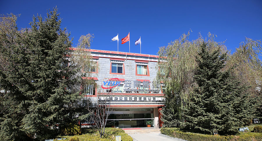 黨建融入經(jīng)營(yíng)，提高工作效能-云南能投居正產(chǎn)業(yè)投資有限公司